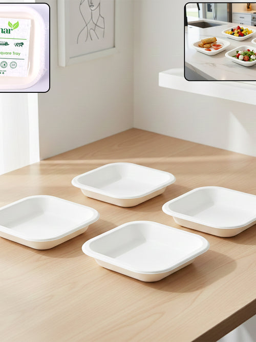 Disposable Square Food Serving Tray Set (10 Pc)