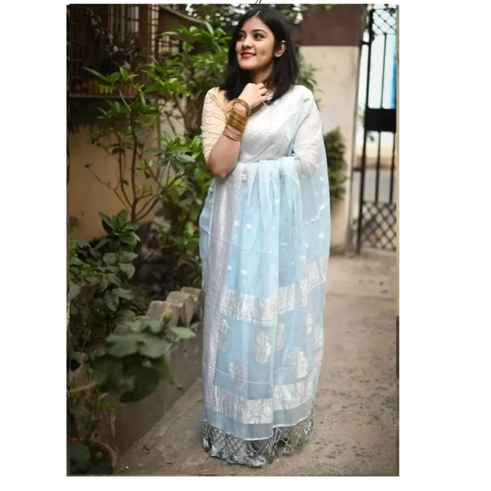 Handloom Banarasi Pure Khaddi Chiffon Saree – Powder Blue with Intricate Silver Zari Floral Bootis & Border